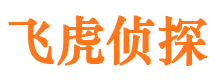 平舆市侦探调查公司